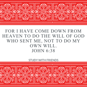 John 6:38